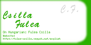 csilla fulea business card